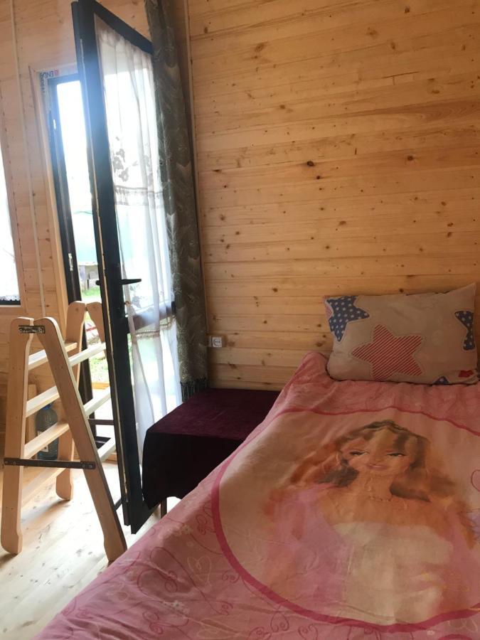 Marine'S Guest House Ananuri エクステリア 写真